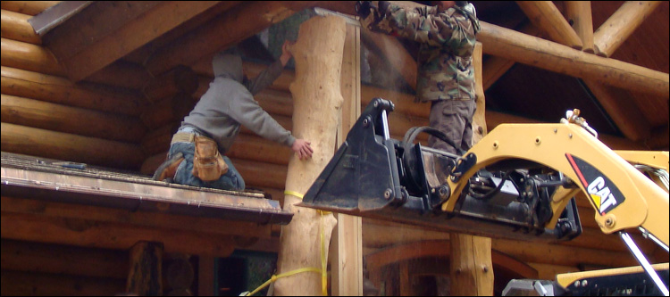 Log Home Log Replacement  Lowndes County, Alabama