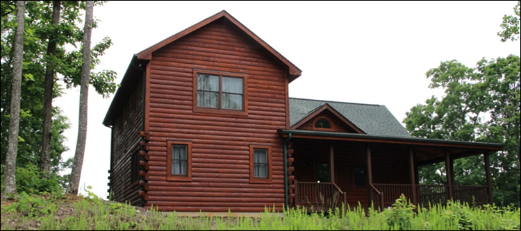 Professional Log Home Borate Application  Fort Deposit, Alabama